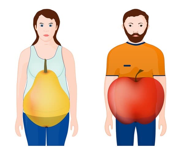 regiões de acumulo de gordura localizada no homens e na mulher